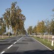 Brzozowa aleja też się zdarzyła