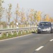 W Niemczech zakładają bariery już wzdłuż nowych nasadzeń