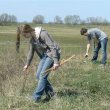 Akcja społeczna - najpierw pomiary- sadziliśmy co 5 metrów